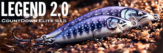 Hard baits :: Running depth 0 - 1,5m :: Minnows :: Minnows sinking